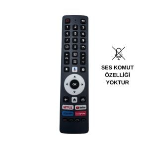 BOTECH Google Play Android TV Kumandası - Ses Komutsuz