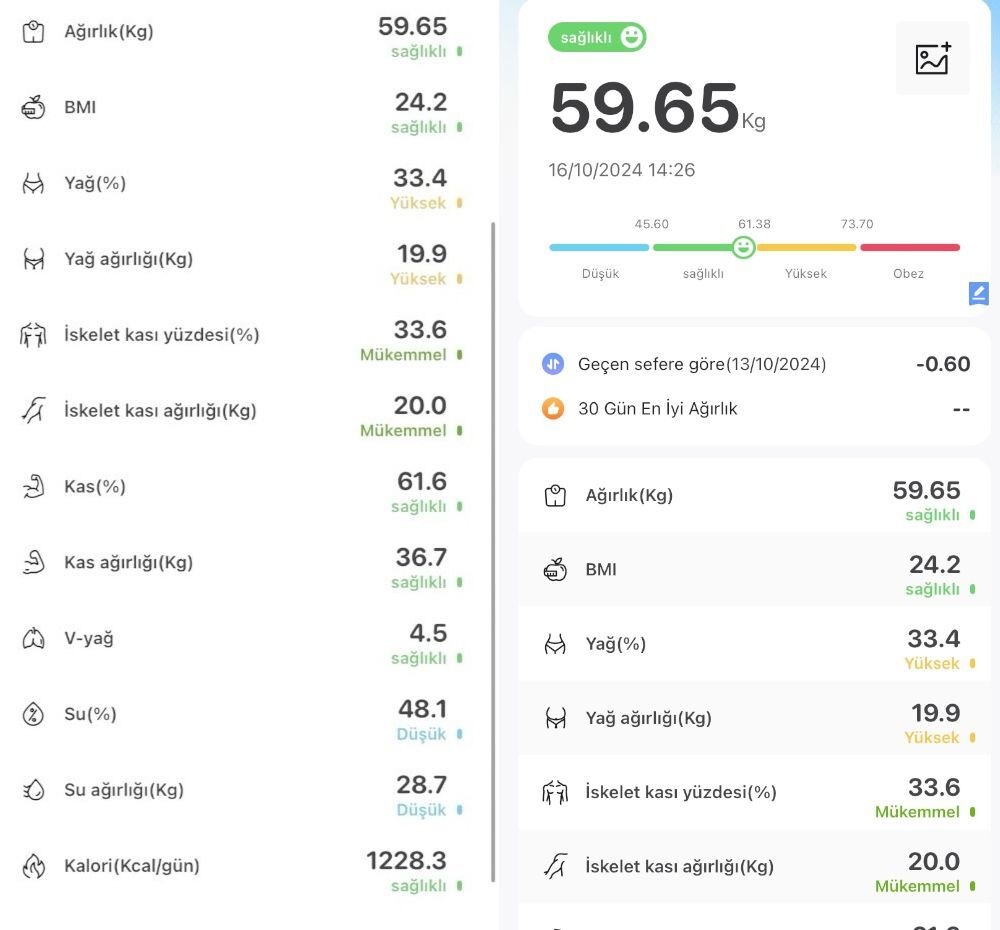 rose-rb-201-akilli-yag-olcer-dijital-tarti.jpg?revision=1751295426