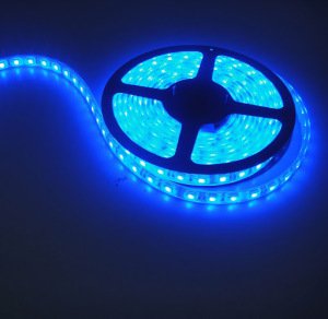 Powermaster Mavi Şerit Led 3Çip Dış Mekan Silikonlu 5Metre