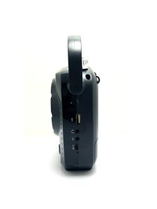 GoldAudio GR-11 Kablosuz Mikrofonlu Bluetooth Hopalör
