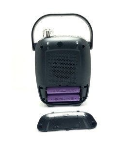 GoldAudio GR-11 Kablosuz Mikrofonlu Bluetooth Hopalör