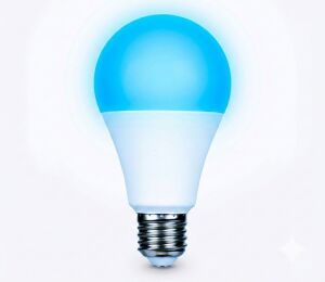 Karluna KL-3009B 12Volt 9Watt E27 6500K 740 Lümen Mavi Led Ampul