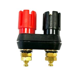 electroon Born Klemens İkili Gold - 1Adet