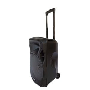Rose RS-1235 Portatif Taşınabilir Ses Sistemi 150Watt El+Kafa Telsiz Mikrofonlu