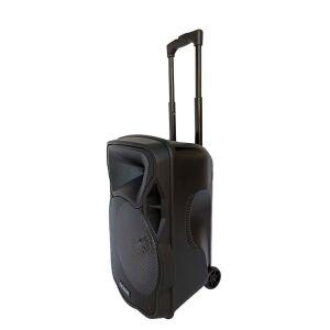 Rose RS-1545 Portatif Taşınabilir Ses Sistemi 200Watt El+Kafa Telsiz Mikrofonlu
