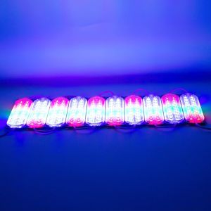 Powermaster 12Volt 3.6Watt RGB Flaşlı Yanıp Sönen Modül Led