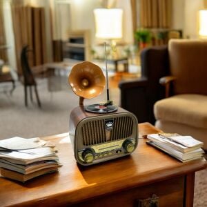 Rose SP-428 USB-SD-FM-Bluetooth Destekli Şarjlı Nostaljik Retro Radyo - Gri