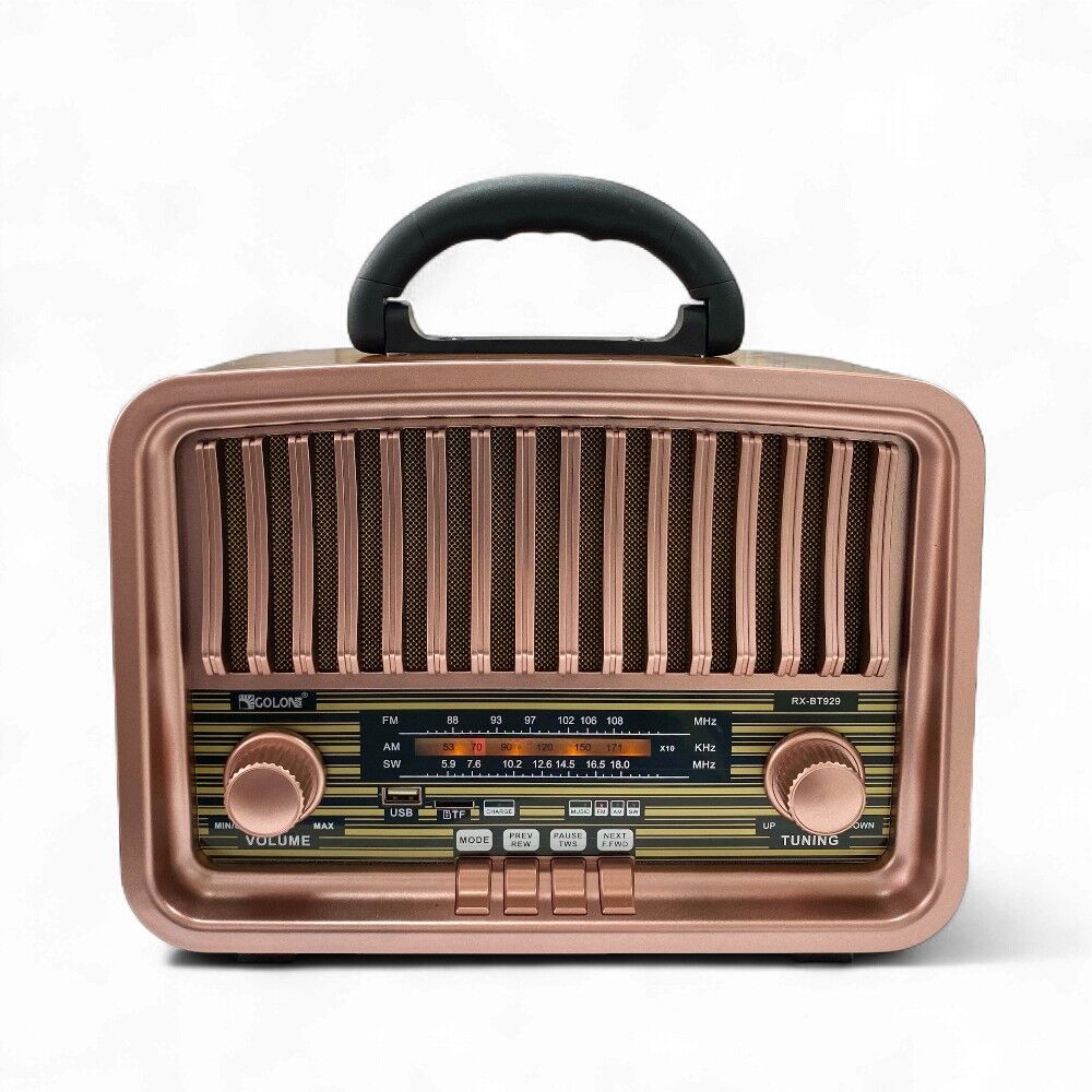 Rose SP-429 USB-SD-FM-Bluetooth Destekli Şarjlı Nostaljik Retro Radyo - Pembe