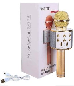 Wster WS-858 Bluetooth-SD-Aux Kablosuz Karaoke Mikrofon (Gold)