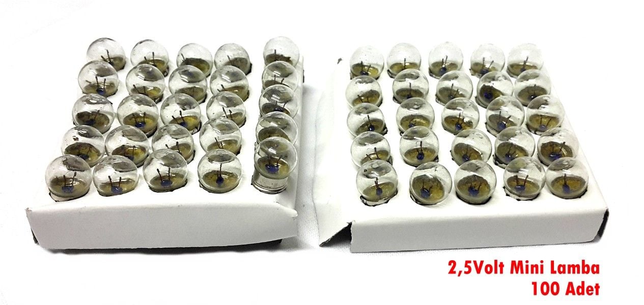 2,5Volt Mini Lamba - 100 Adet