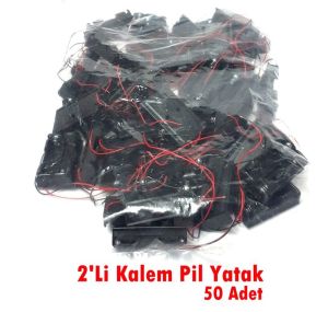 Electroon 2Li Kalem Pil Kutusu 2xAA Kapaksız - 50 Adet