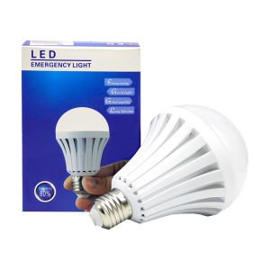 Powermaster E27 Duy 220Volt 5W Şarjlı Beyaz Led Ampul