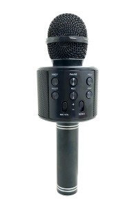 Wster WS-858 Bluetooth-SD-Aux Kablosuz Karaoke Mikrofon Siyah